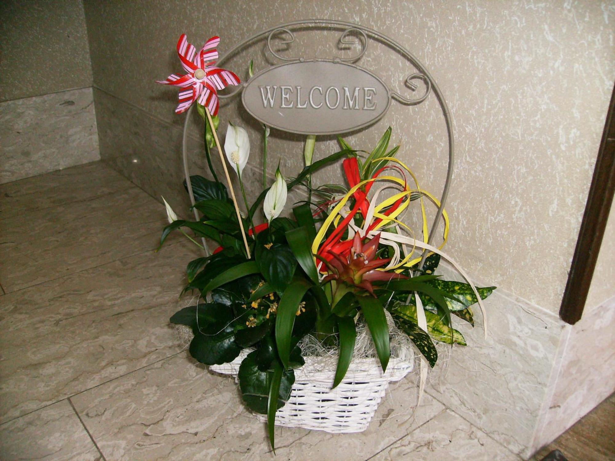 Il Barucin Bed & Breakfast Villar San Costanzo ภายนอก รูปภาพ
